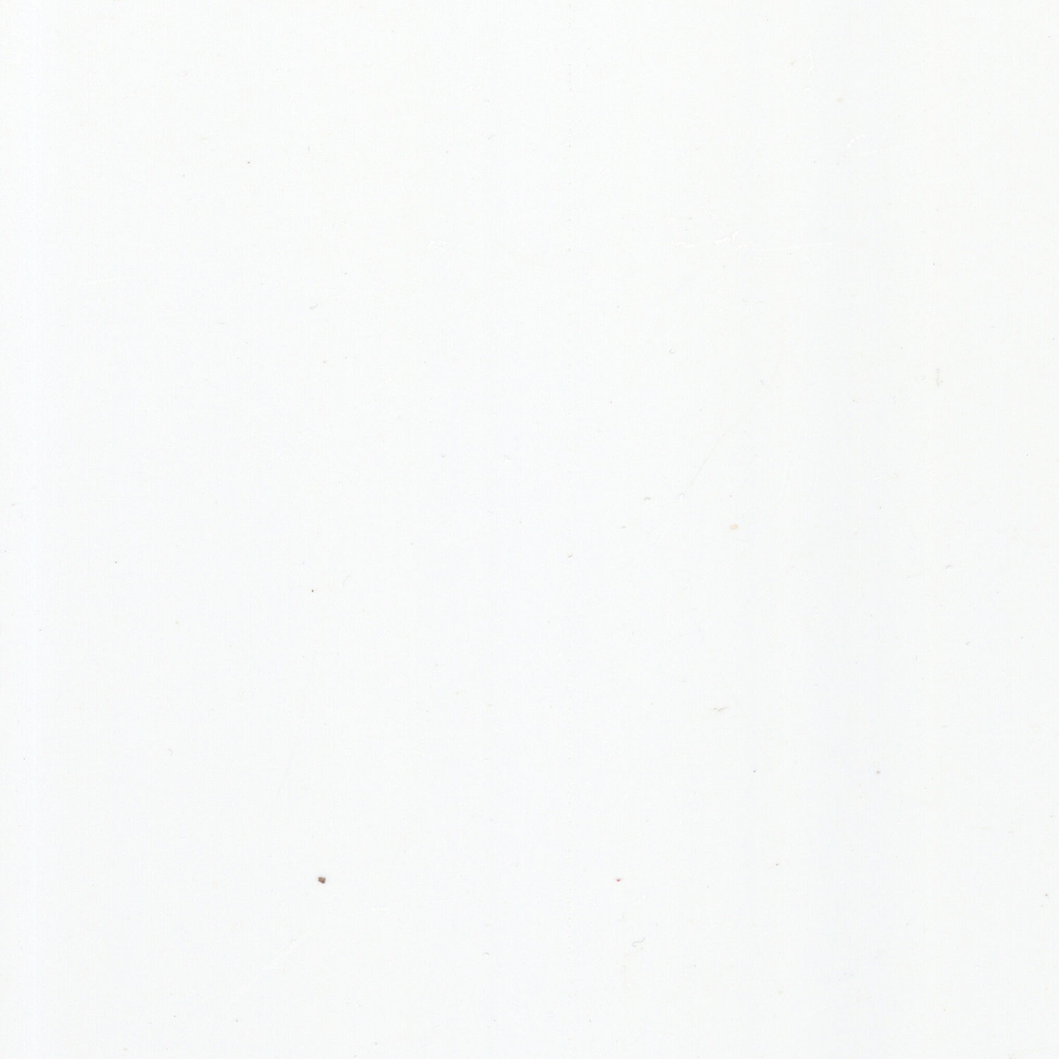 Gloss White 10mm Shower Panels 1m (W) x 2.4m (H)