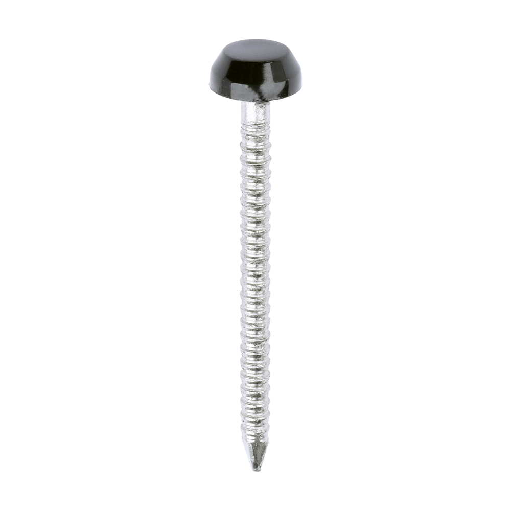 Black 30mm Plastic Headed Pins (250)