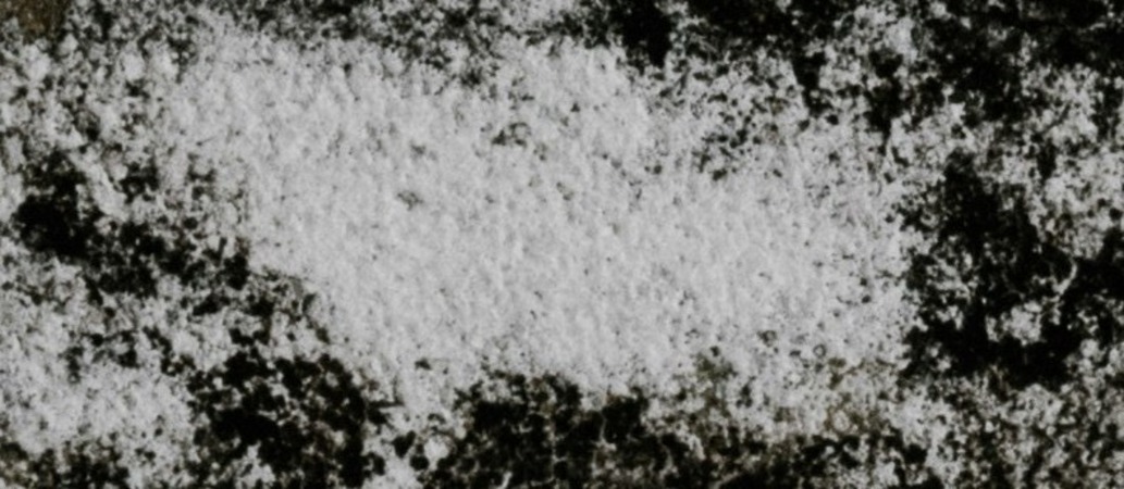 How to Prevent Mould Over Winter